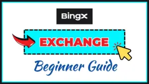 BingX exchange beginner guide